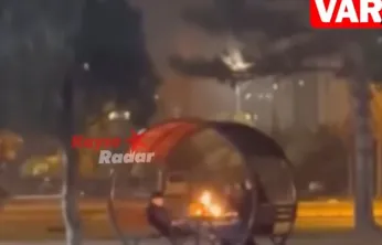 Parkta kamelya yakan 3 çocuk yakalandı