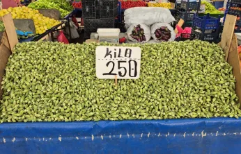 Pazar tezgahlarının en pahalı ürünü bamya oldu