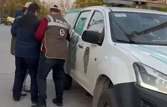 Şok Operasyon: Kediye çarpıp kaçan şahıs kıskıvrak yakalandı