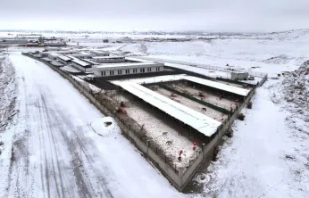 Sokak hayvanlarına beş yıldızlı sıcak bakımevi