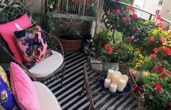 Talas 2026'da Rengarenk Olacak Görkemli Çiçek Festivali!