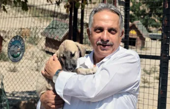 Talas Patievi Doğal Yaşam Alanı 500 Can İçin Seçkin Bir Yuva