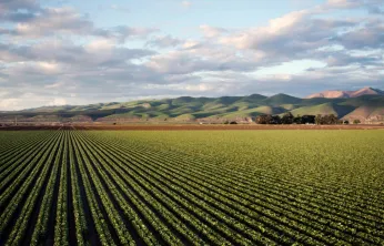 Tarımsal girdi fiyat endeksi yıllık bazda yüzde 33,66 arttı