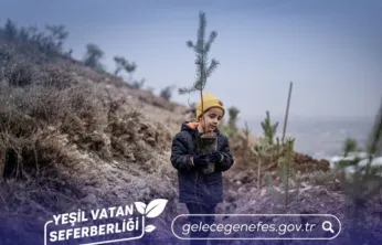 Türkiye, Avrupa'da ağaçlandırmada birinci, dünyada üçüncü sırada