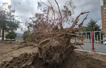 Uçan Çatılar, Sökülen Ağaçlar: İtfaiye 32 olaya müdahale etti