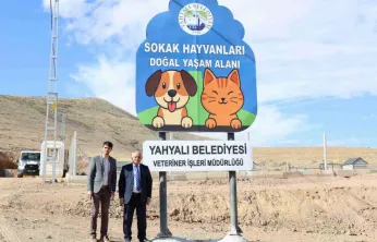 Yahyalı'da Sokak hayvanlarına Yeni Yuva: Doğal Yaşam Alanı Hizmete Açıldı