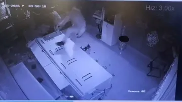 Forklift ile kuyumcu soyduktan sonra eşekle kaçan şahıs yakalandı