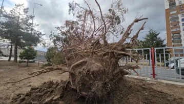 Uçan Çatılar, Sökülen Ağaçlar: İtfaiye 32 olaya müdahale etti