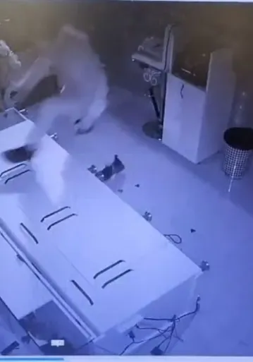 Forklift ile kuyumcu soyduktan sonra eşekle kaçan şahıs yakalandı