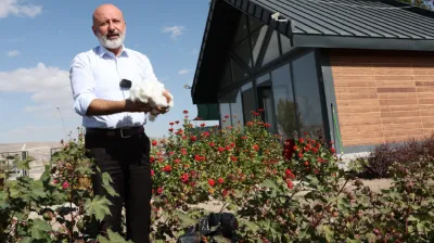 Kayseri'de Tarımda Yeni Bir Dönem: Pamuk Üretimi Başlıyor