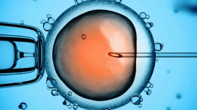 'Piezo Tüp Bebek yöntemi ile artık umutsuzluk giderek azalıyor'