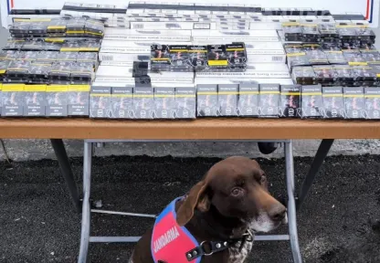 700 paket bandrolsüz kaçak sigara ele geçirildi