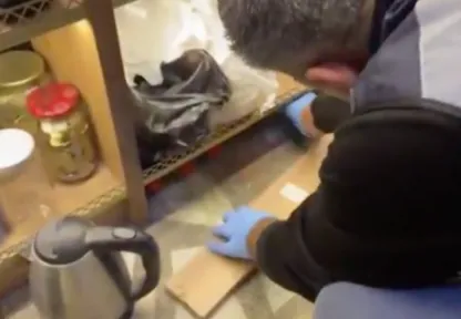 81 ilde alkollü içki kaçakçılığı ve sahteciliğine yönelik operasyon: 179 gözaltı