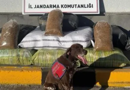 Jandarma ekipleri 1 ayda 274 kişiyi yakaladı