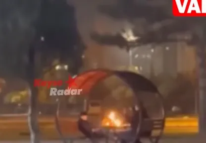 Parkta kamelya yakan 3 çocuk yakalandı