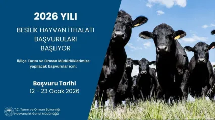 2026 besilik hayvan ithalatı başvuruları başlıyor
