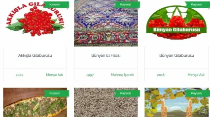 Kayseri'nin 12 ürünü tescil edilmeyi bekliyor