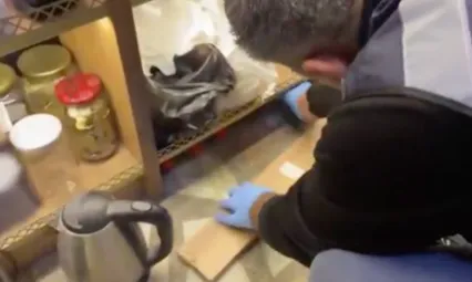 81 ilde alkollü içki kaçakçılığı ve sahteciliğine yönelik operasyon: 179 gözaltı