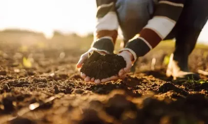 Bakan Yumaklı, 'Gençleri tarımsal üretimin içerisinde tutmamız gerekiyor'