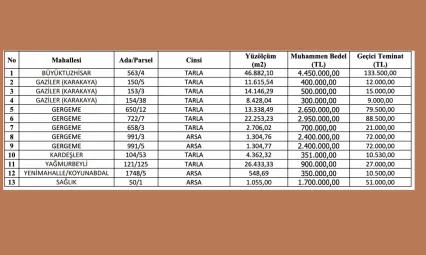 Bünyan Belediyesi 13 taşınmazı satışa çıkardı