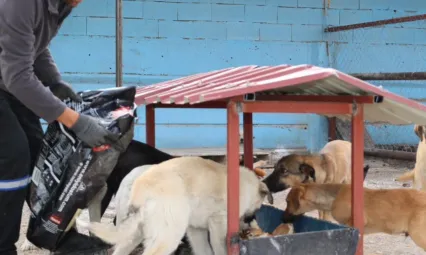 Bünyan'da 'Sokak Hayvanları Doğal Yaşam Alanı' hizmete açıldı