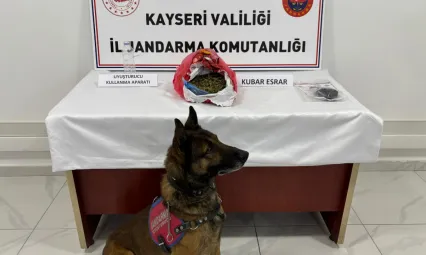 Jandarma ekipleri Develi'de 1,4 kilogram kubar esrar ele geçirdi