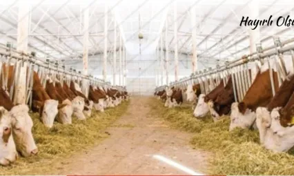 Kayseri'de 34 milyon liralık tarımsal destek ödemeleri çiftçilerin hesabına aktarılıyor