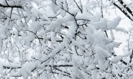 Kayseri'de hafta sonu: Çok bulutlu ve kar yağışlı