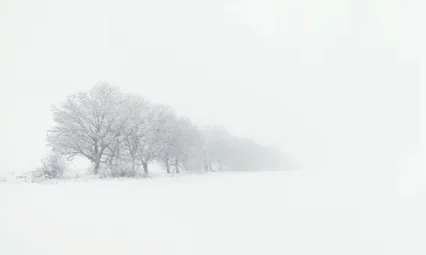 Kayseri'de hafta sonu: Kar yağışlı ve sisli