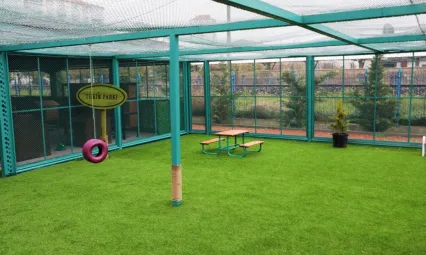 Kayseri'de sokak hayvanları için sıcak yuva: Kedi Kasabası