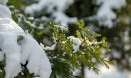 Kayseri hafta içi parçalı bulutlu ve kar yağışlı geçecek
