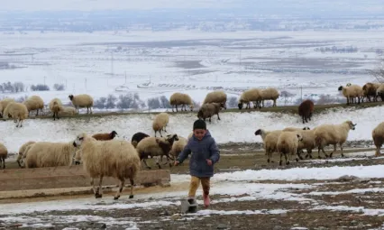 Meteoroloji uyardı: 'Hayvanların güvenli bölgelere getirilmesi önemli'
