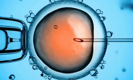 'Piezo Tüp Bebek yöntemi ile artık umutsuzluk giderek azalıyor'