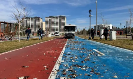 R. Tayyip Erdoğan Millet Bahçesi'nde Kapsamlı Bakım ve Temizlik Çalışmaları