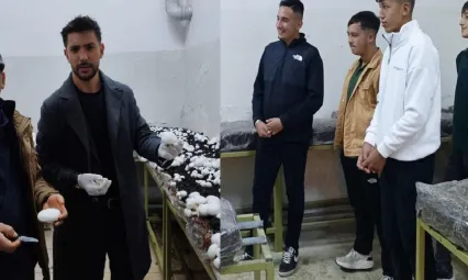 Sarız'da tarım öğrencileri mantar üretti