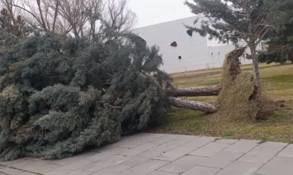 Şiddetli Rüzgara Karşı, Büyükşehir Teyakkuzda