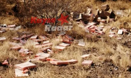 Tıbbi atıkları yol kenarına atan şahıs yakalandı