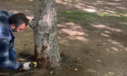 Yeşil alanlarda çevreci ilaçlama