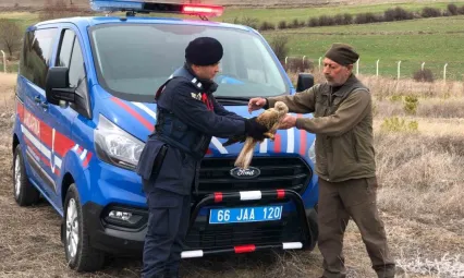 Yozgat'ta jandarmanın bulduğu yaralı kızıl şahin tedaviye alındı
