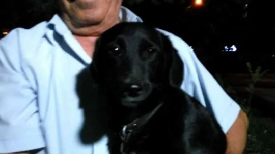 'Can yoldaşım' dediği köpek için gözyaşı döküyor