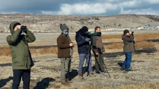 'Kuş Cenneti' Hürmetçi Sazlığı'nda 5 bin su kuşu sayıldı