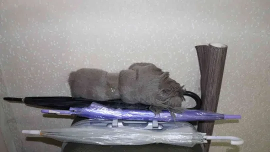 2021'de tramvaylardan 9 bin 300 TL çıktı