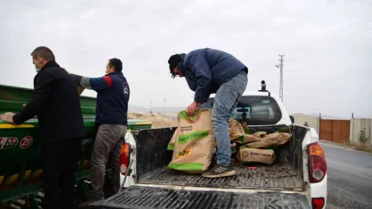 53 çiftçiye 20 ton ekmeklik buğday tohumu dağıtıldı