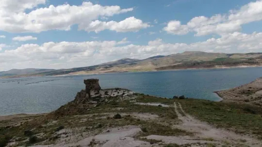 7,5 milyon yıllık fosilleri ayaklandırıyorlar