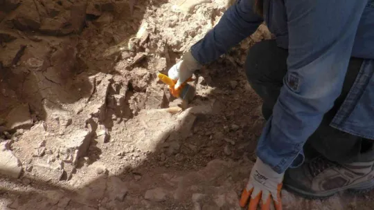 7.5 milyon yıllık tarih gün yüzüne çıkıyor