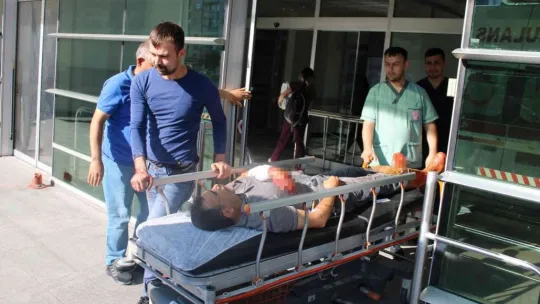 Acemi kasaplar hastanelik oldu
