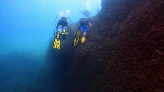 Akdeniz'in su altı dünyasını keşfediyorlar