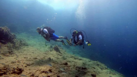 Akdeniz'in su altı dünyasını keşfediyorlar