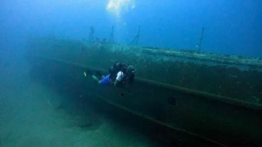 Akdeniz'in su altı dünyasını keşfediyorlar