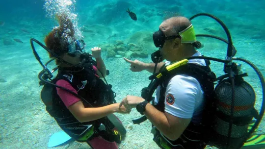 Akdeniz'in su altı dünyasını keşfediyorlar